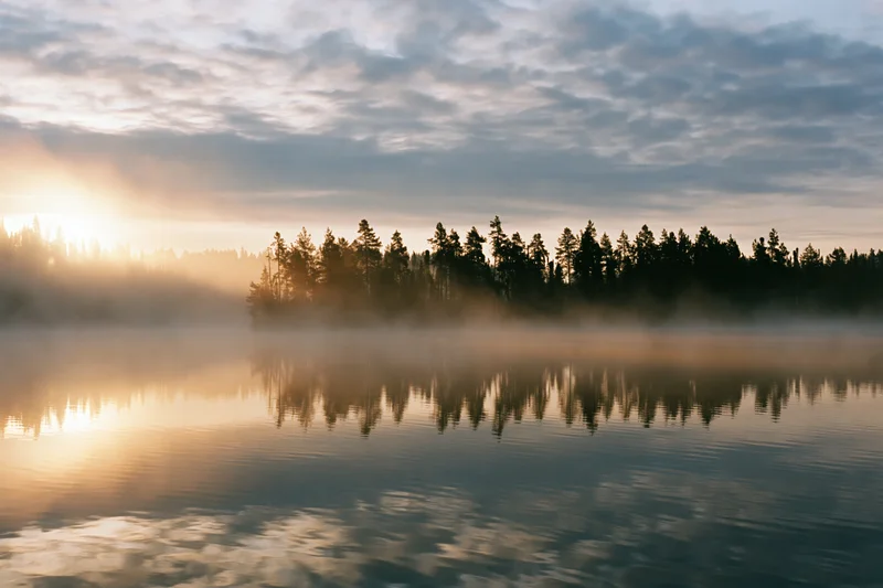 Mist rising over calm lake at sunrise with pine forest reflected in water