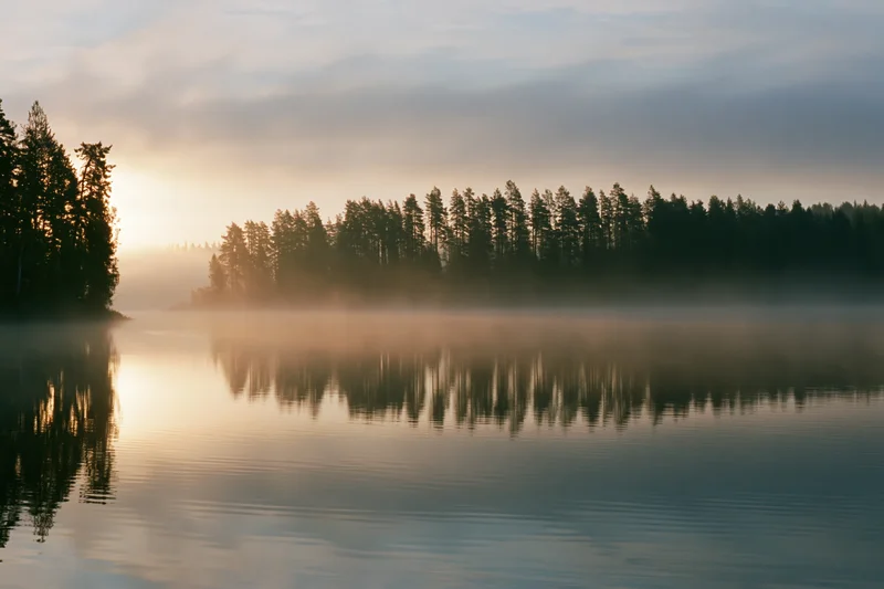 Mist rising over calm lake at dawn with pine forest reflected in water