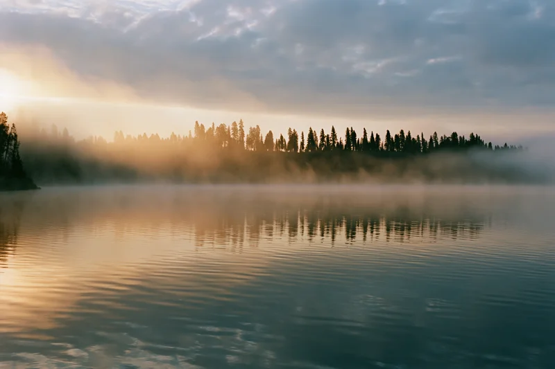Mist rising over calm lake at sunrise with pine trees reflected in water