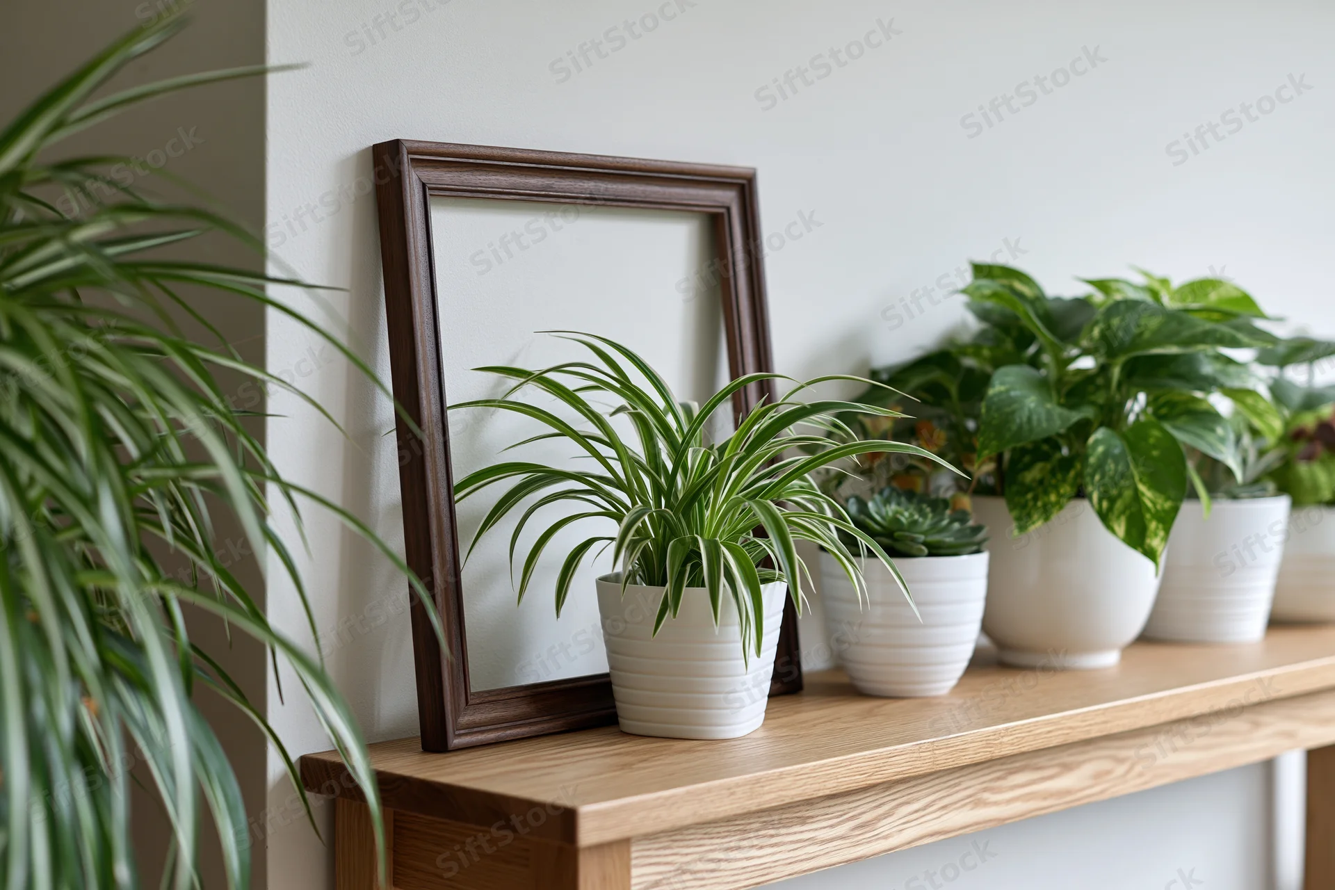 Dark walnut frame leaning against white wall on wooden shelf with potted plants arranged beside it