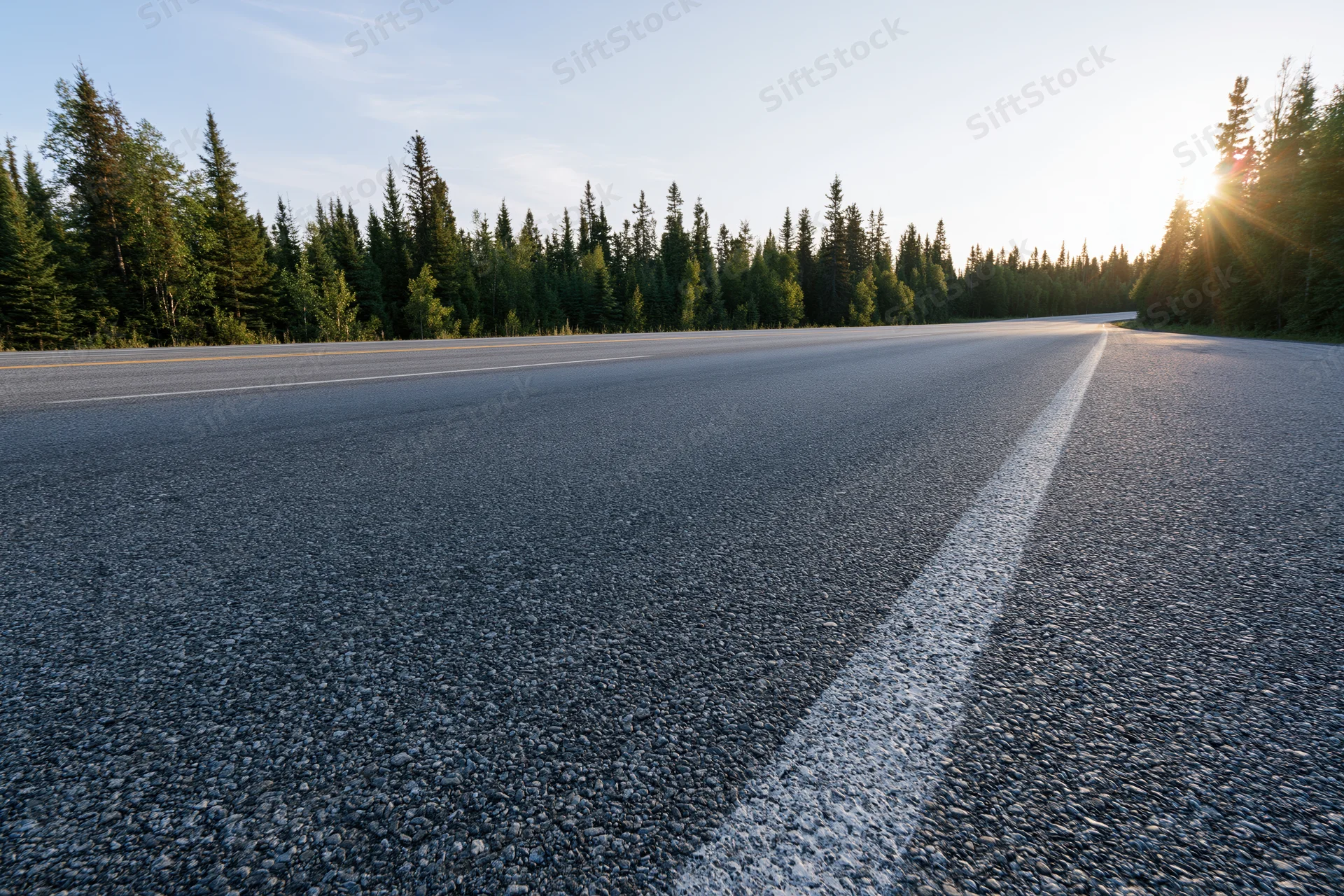 Empty two-lane asphalt highway stretching into the distance lined with evergreen trees at sunset
