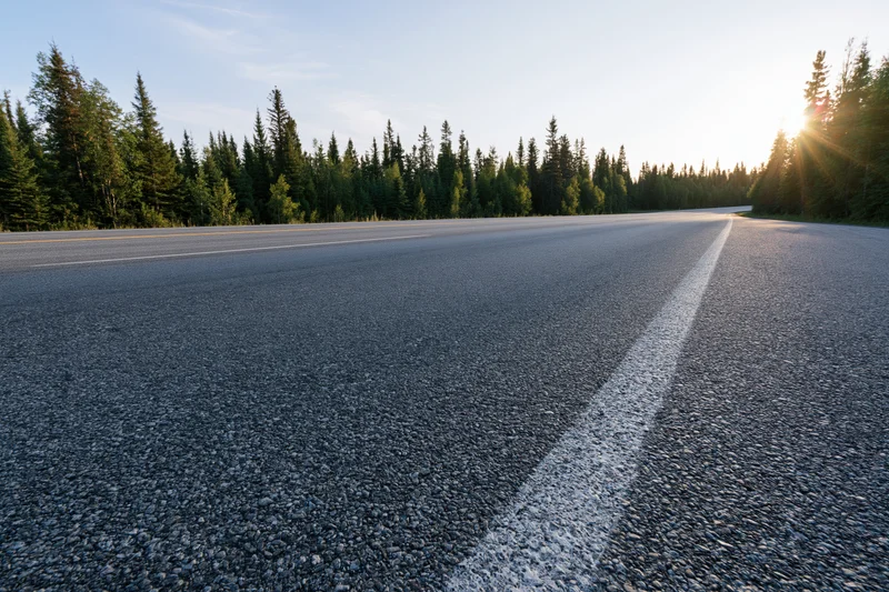 Empty two-lane asphalt highway stretching into the distance lined with evergreen trees at sunset