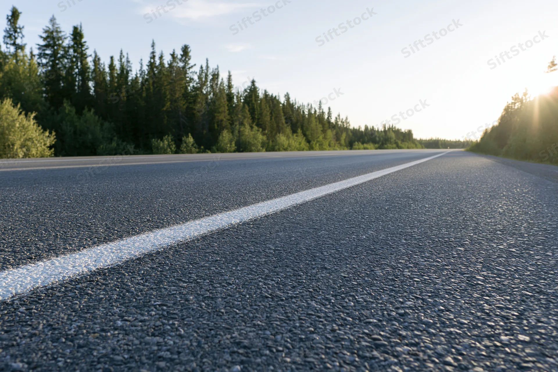 Empty two-lane asphalt highway stretching into the distance lined with evergreen trees under clear sky at sunrise
