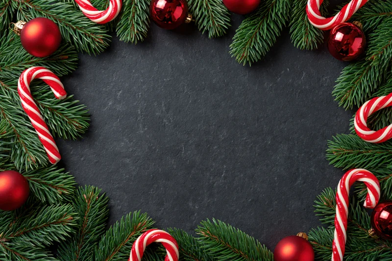 Flat lay Christmas border frame made of fresh pine branches