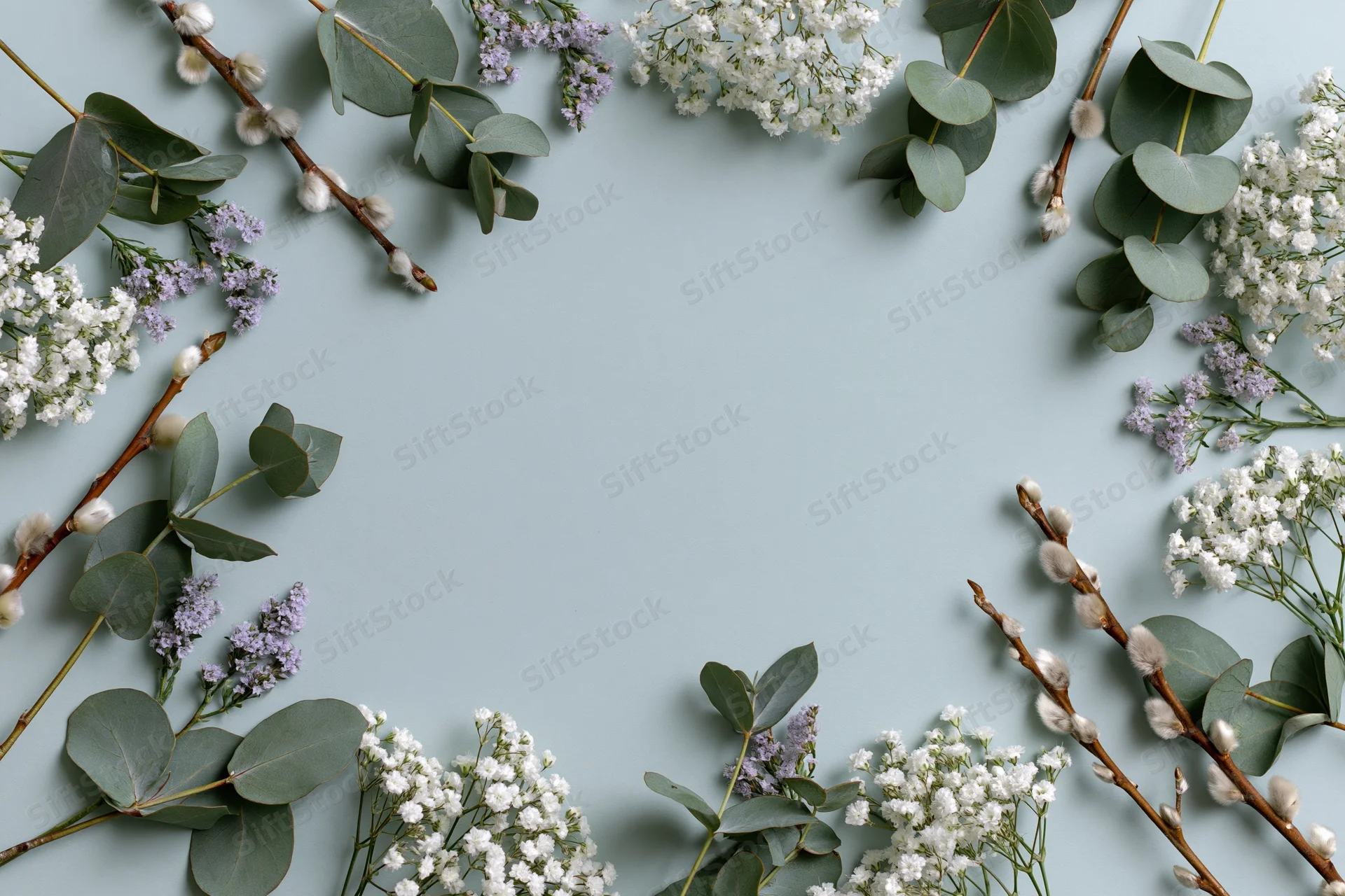 Eucalyptus and gypsophila arranged in a flat lay frame on a light blue background with copyspace