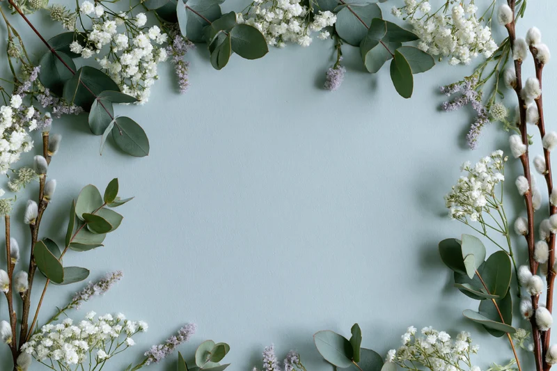 Eucalyptus and gypsophila sprigs arranged in a frame around a light blue surface with copyspace