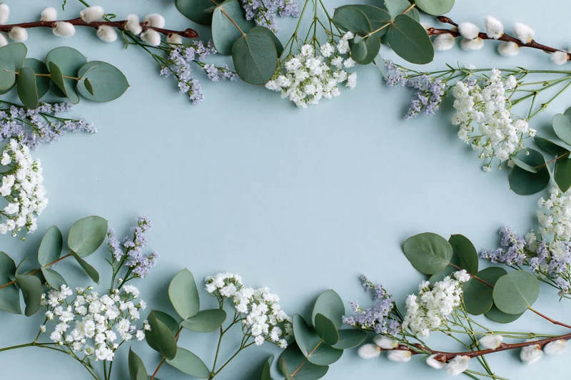 Eucalyptus and gypsophila arranged in a floral border on a pastel blue surface with copyspace