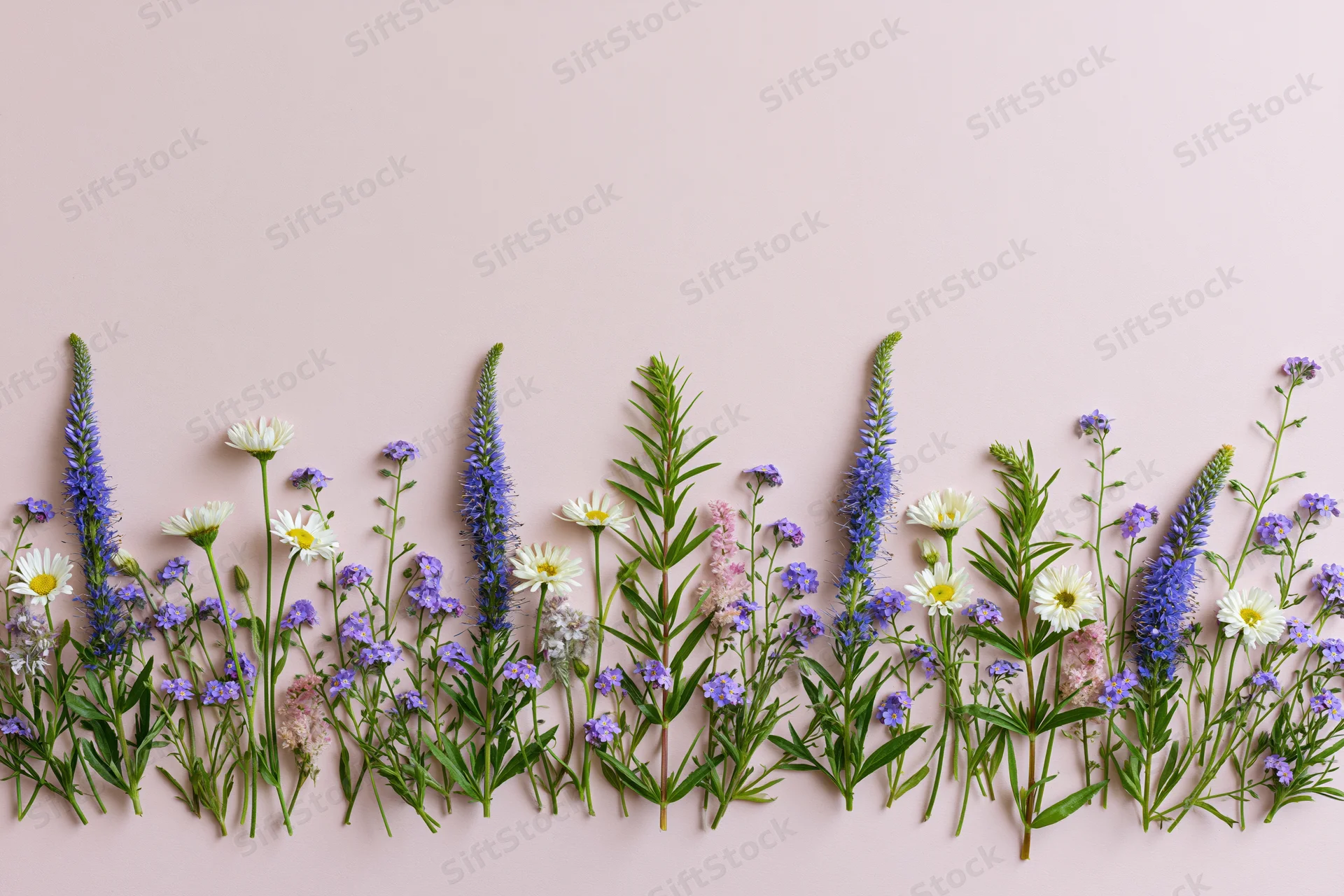 Flat lay of mixed wildflowers arranged along the bottom edge on a soft pink background