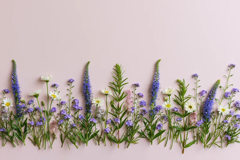 Flat lay of mixed wildflowers arranged along the bottom edge on a soft pink background