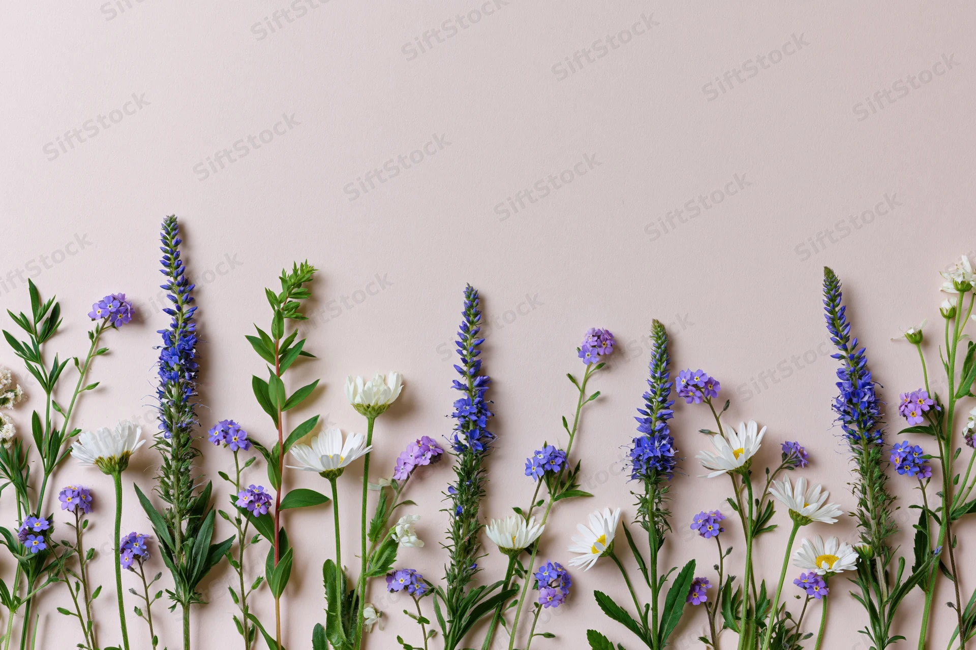 Flat lay of mixed wildflowers arranged along the bottom edge on a soft pink background