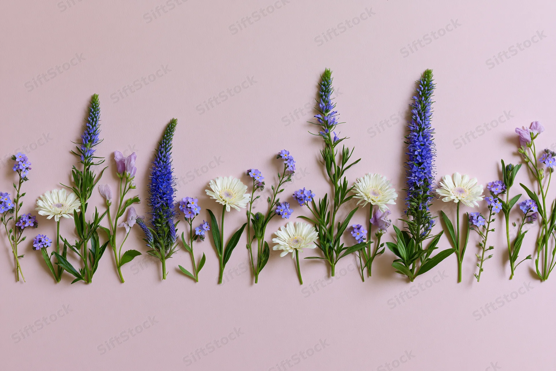 Mixed wildflowers arranged in a row along the bottom edge on a pink background