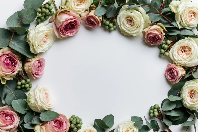 Floral arrangement of pink and cream roses with green eucalyptus forming a border frame on white background