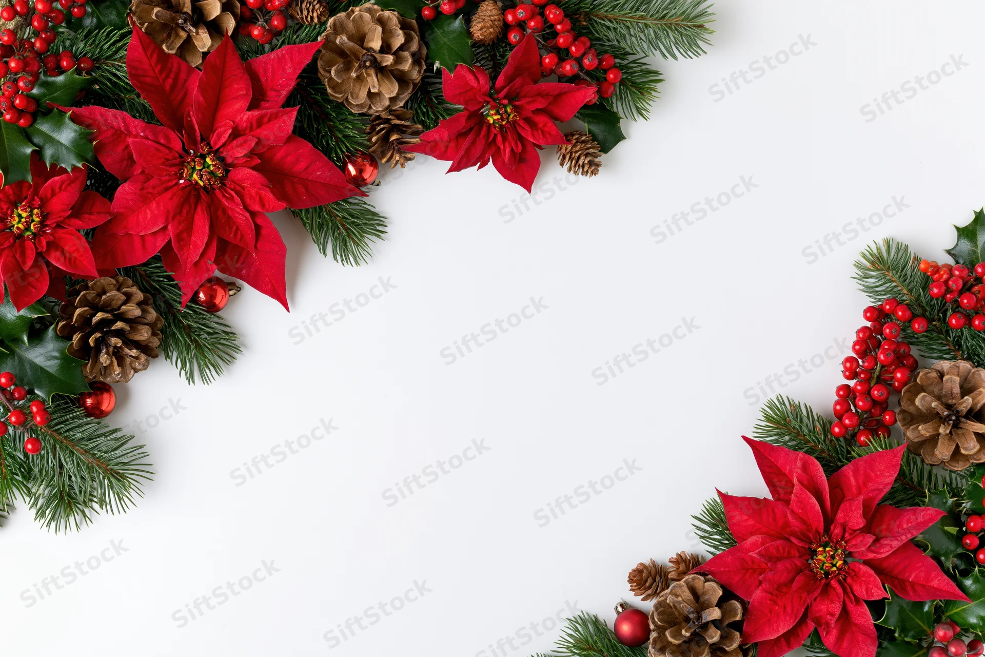 Christmas botanicals arranged in corner border on white background with copyspace