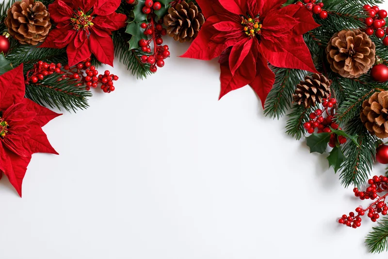 Christmas botanicals arranged in corner border on white surface with copyspace