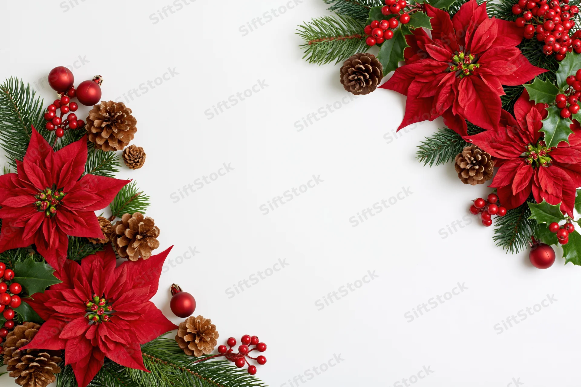 Christmas botanicals arranged in corner border on white surface