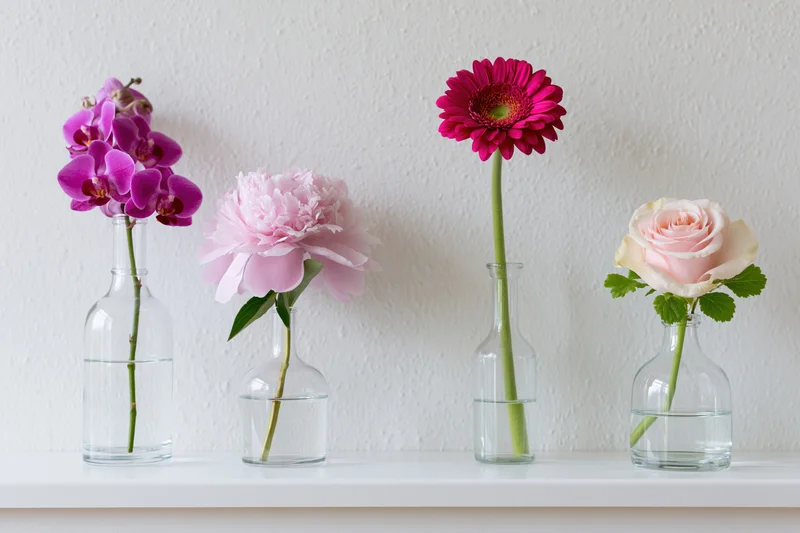 Four glass vases each holding a single flower arranged in a row on a white shelf