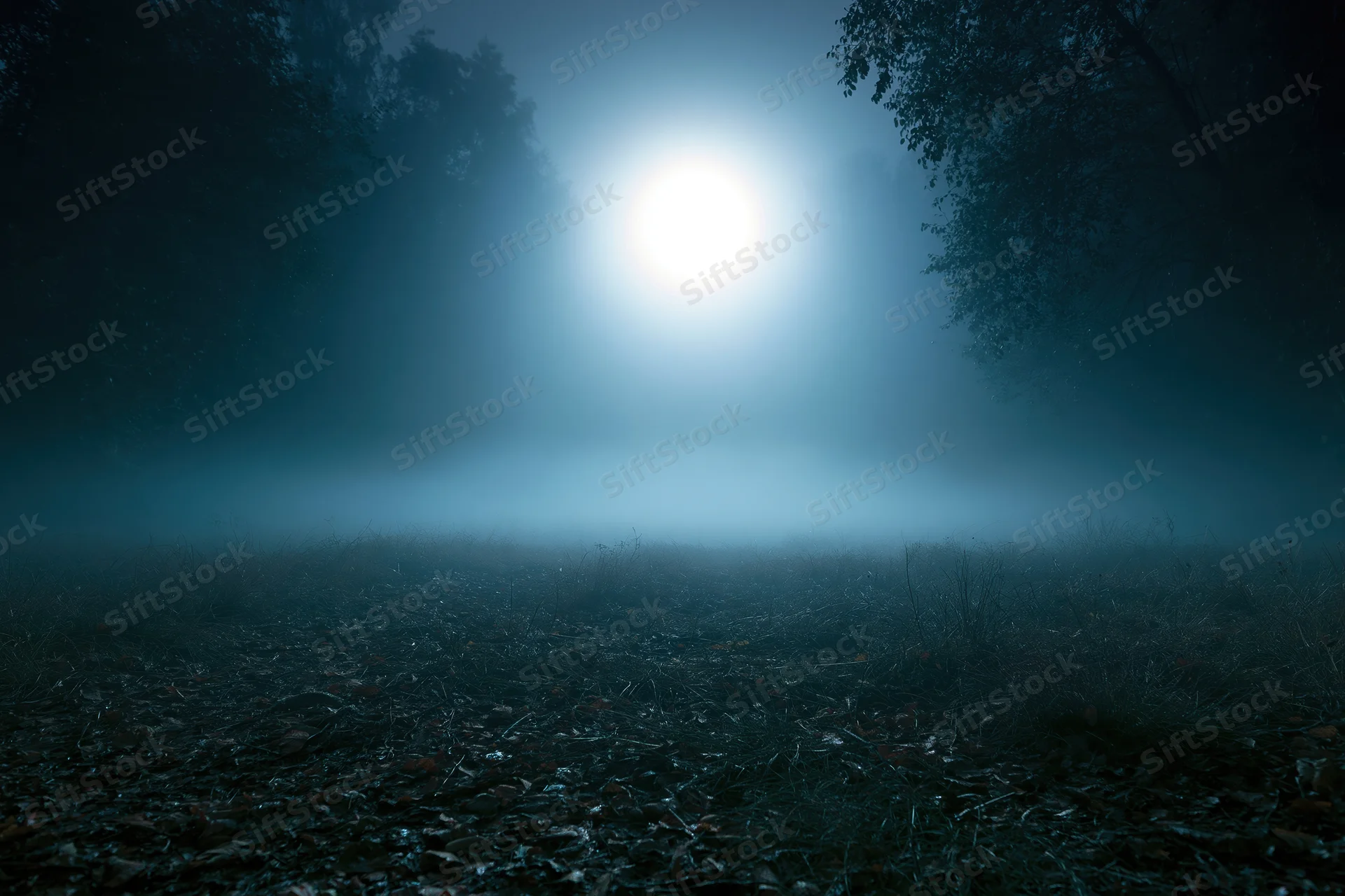 Full moon glowing through heavy fog over a dark forest clearing at night