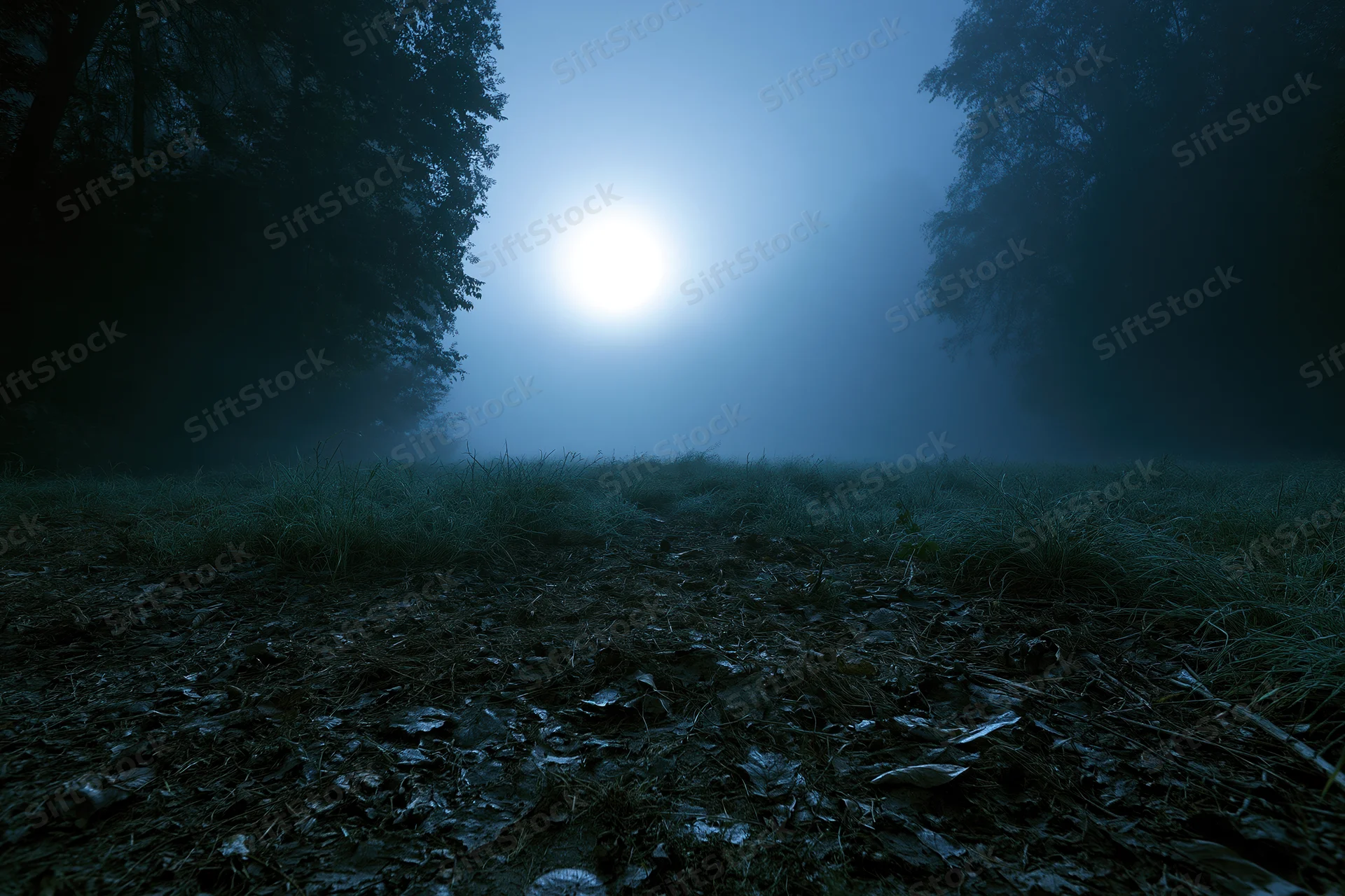 Full moon glowing through heavy fog over a dark forest clearing at night