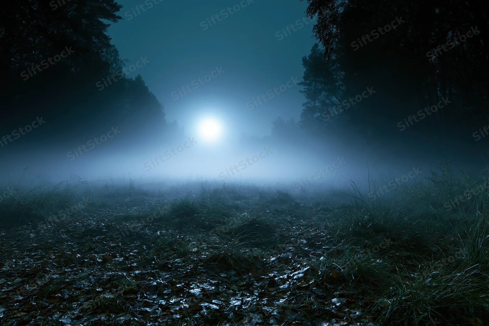 Full moon glowing through heavy fog over a dark forest clearing at night
