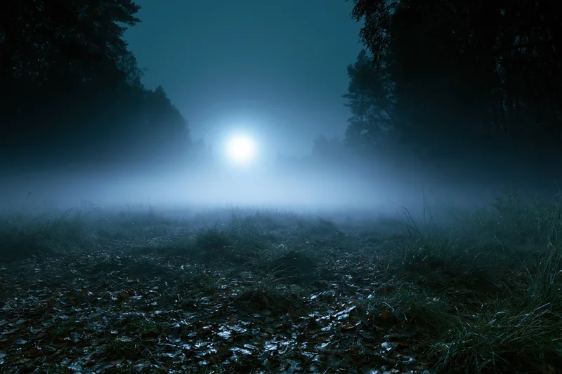 Full moon glowing through heavy fog over a dark forest clearing at night