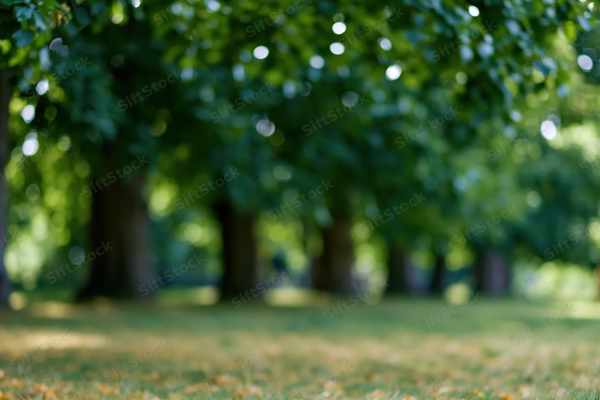 Blurred park landscape with trees and grass under dappled sunlight