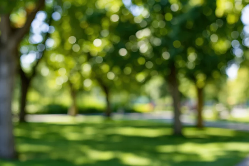 Blurred view of trees and grass in a sunny urban park