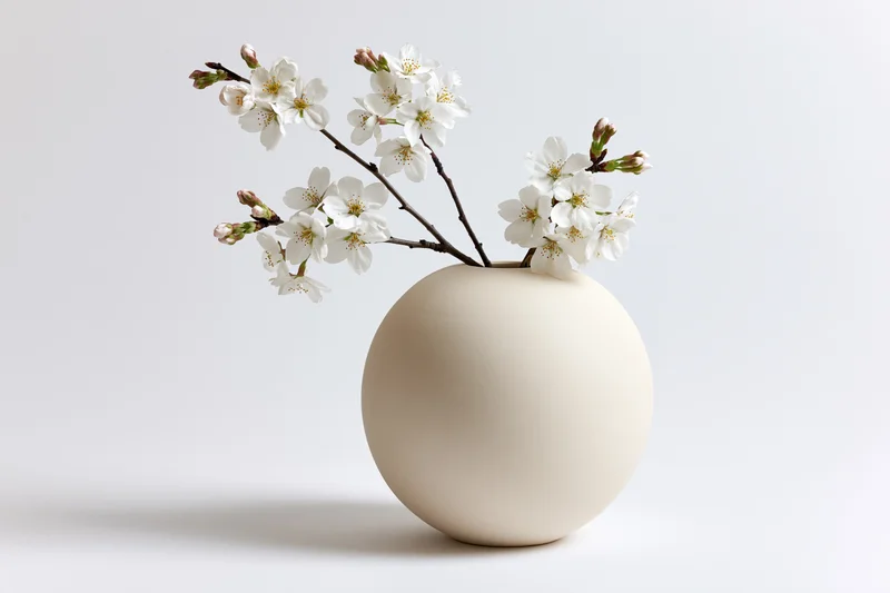 Round matte ceramic vase holding cherry blossom branches on white background