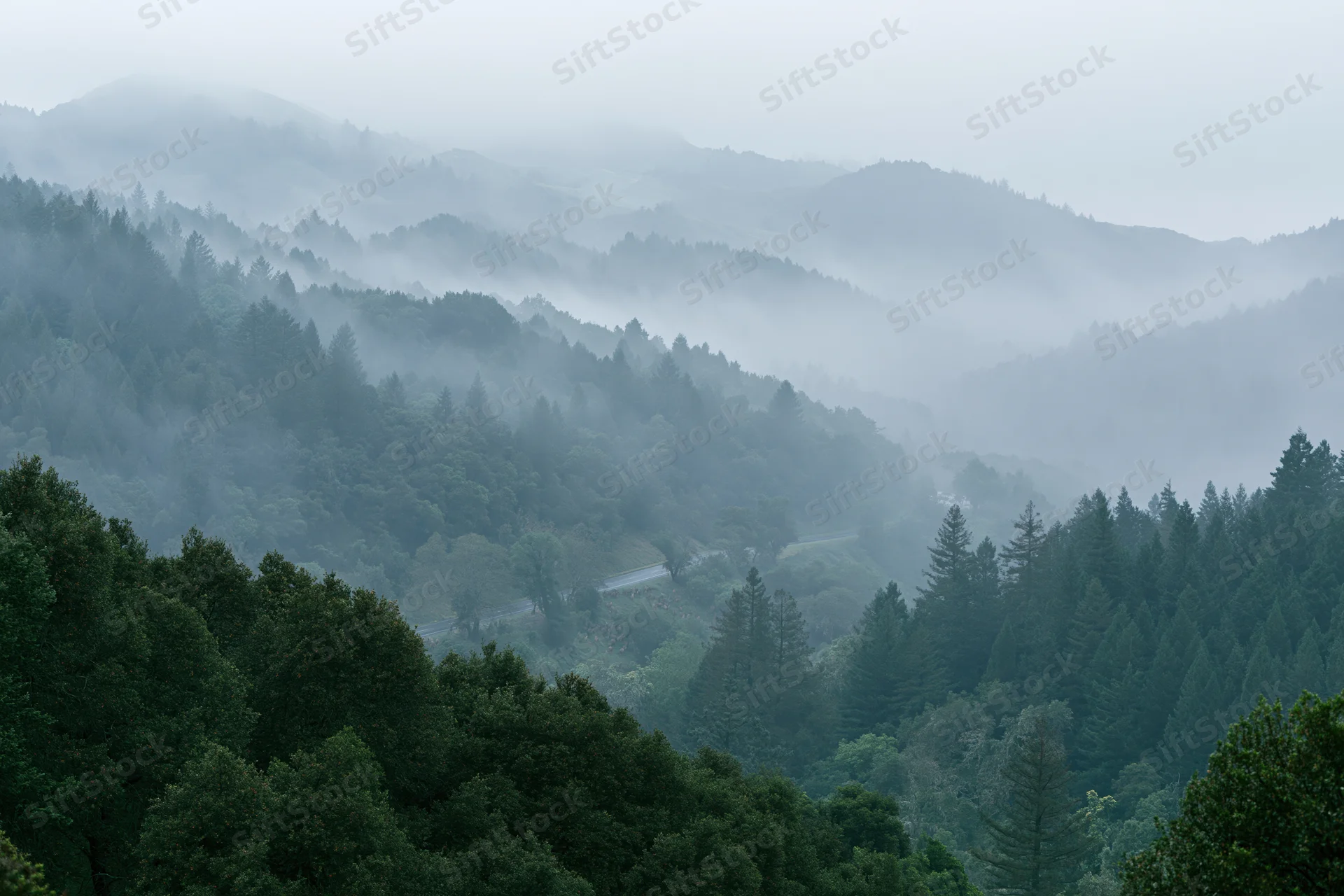 Misty mountain valley with dense green forest layers receding into fog