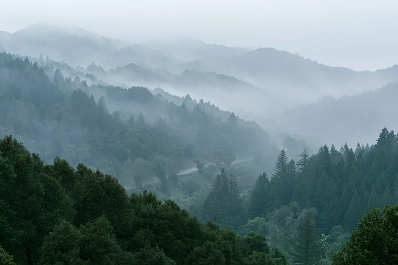 Misty mountain valley with dense green forest layers receding into fog