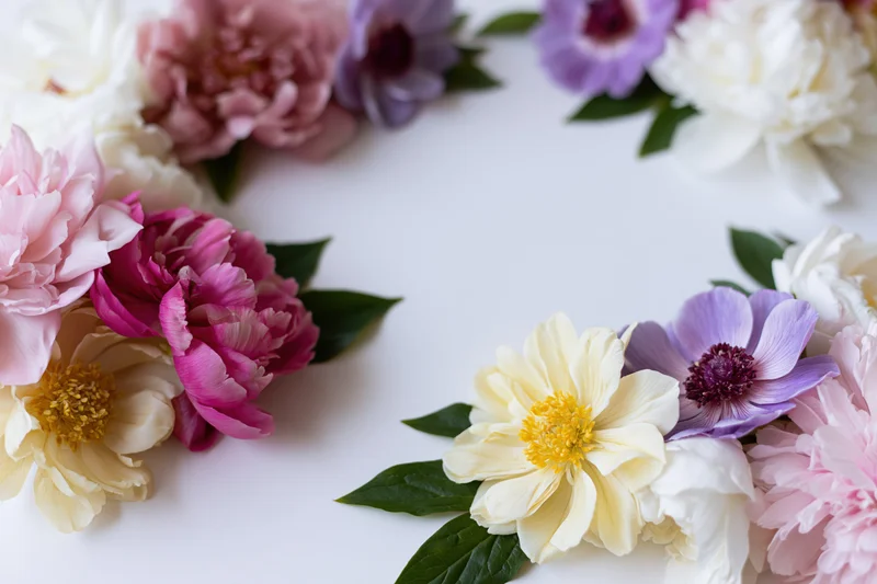 Peony and anemone blooms arranged in clusters framing a white surface