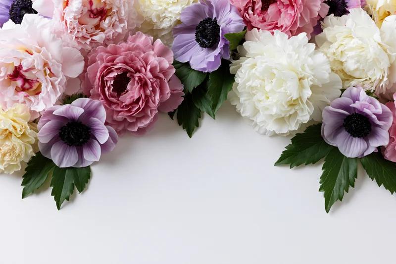 Peony and anemone blooms arranged in clusters framing the top of a white surface