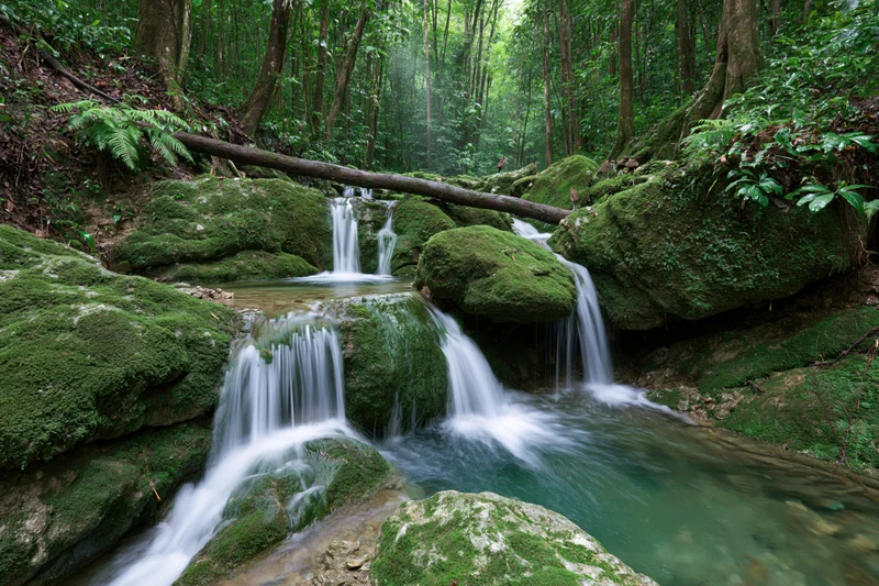 Multi-tiered waterfall cascading over moss-covered rocks in a dense jungle forest