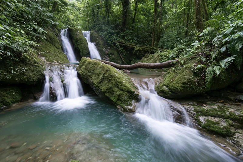 Multi-tiered waterfall cascading over moss-covered rocks in a dense jungle forest