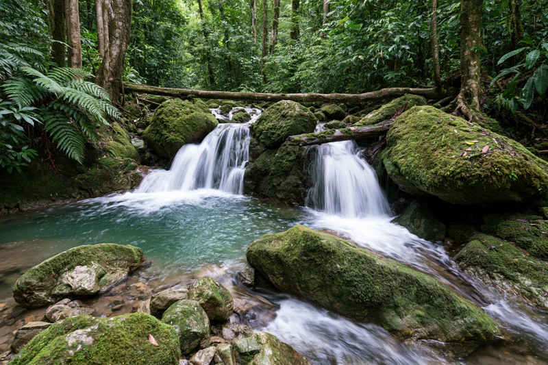 Multi-tiered waterfall cascading over moss-covered rocks in a dense jungle forest