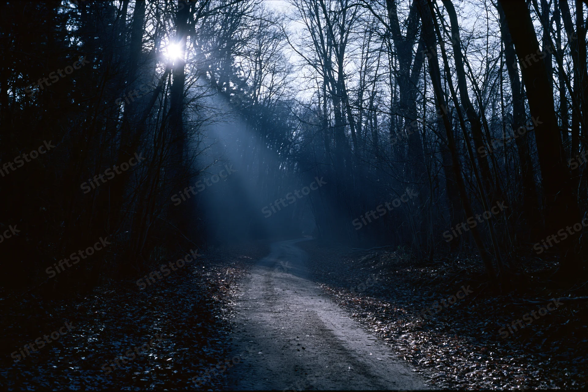 Narrow dirt path winding through dark forest at night with sunbeam piercing through bare trees