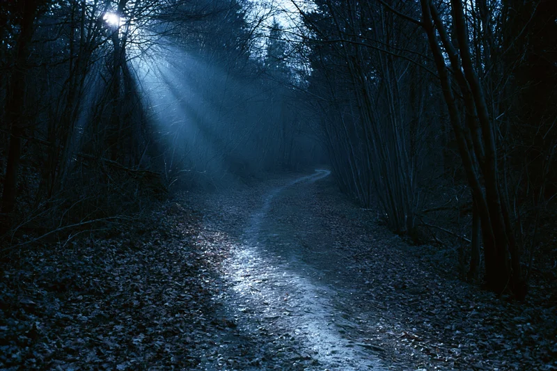 Narrow dirt path winding through dark forest at night with moonlight beams cutting through bare trees and mist