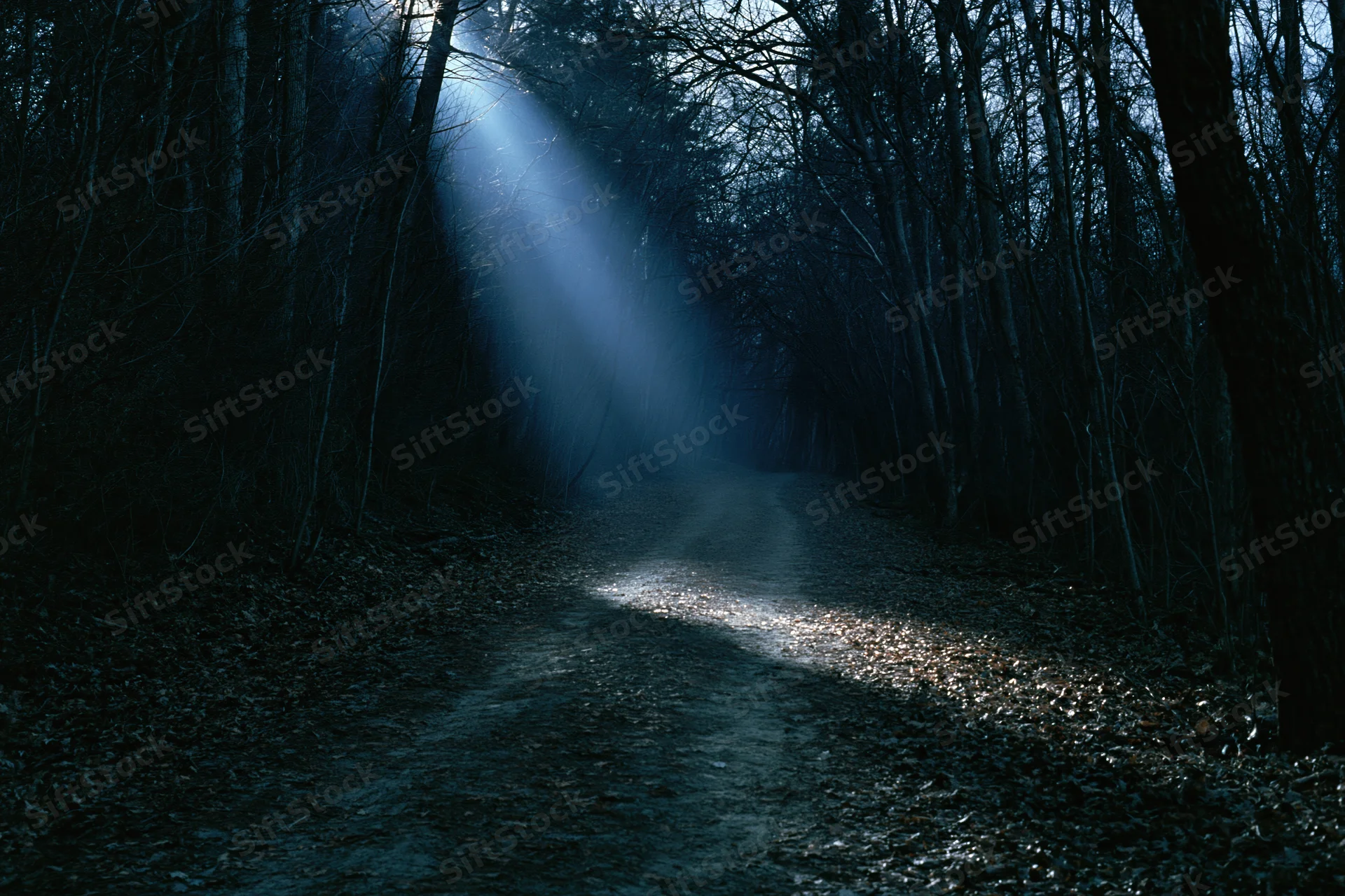 Narrow dirt path receding into dark forest at night with sunbeam cutting through bare trees