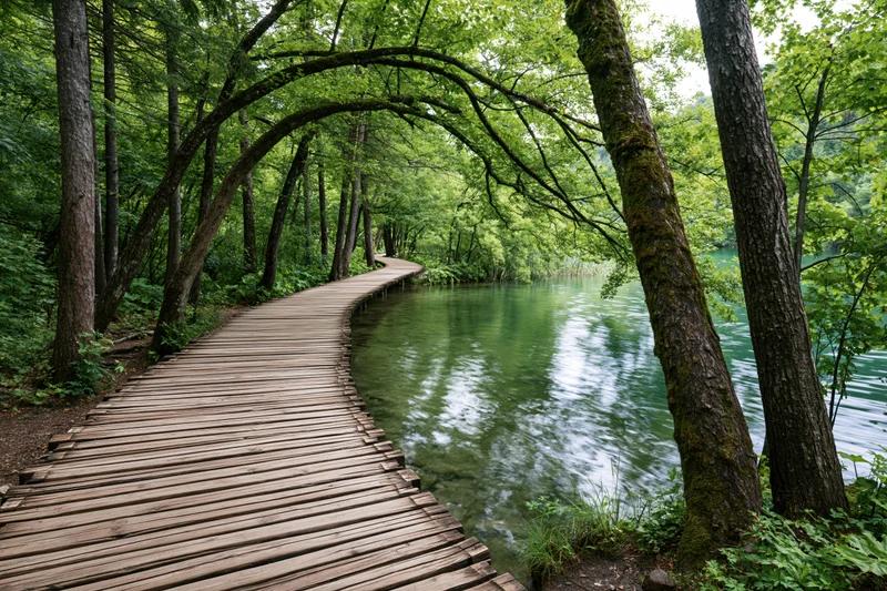 Wooden boardwalk curving through lush forest alongside calm green water