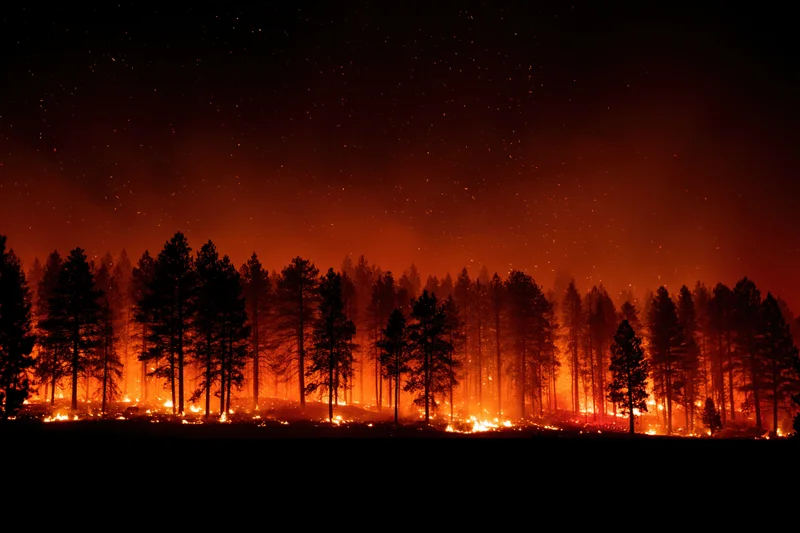 Raging wildfire burning through a pine forest at night under a starry sky