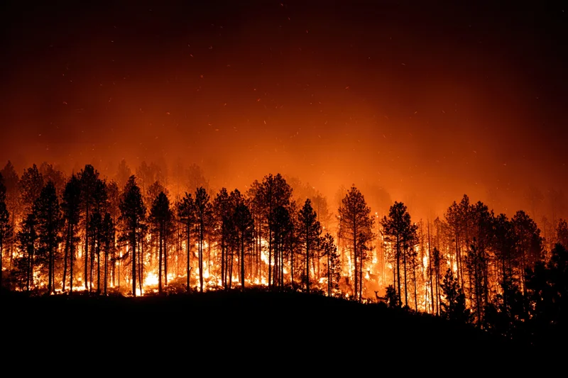 Raging wildfire burning through a pine forest at night, silhouetting trees against orange flames and smoke