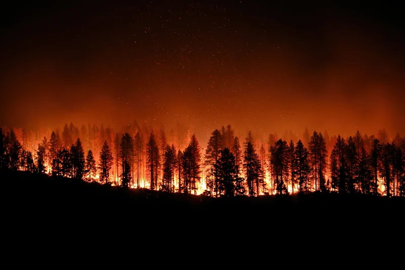 Raging wildfire burning through a pine forest at night, silhouetting trees against orange flames and smoke
