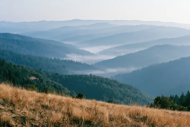 Rolling forested mountains with morning fog settling in the valley