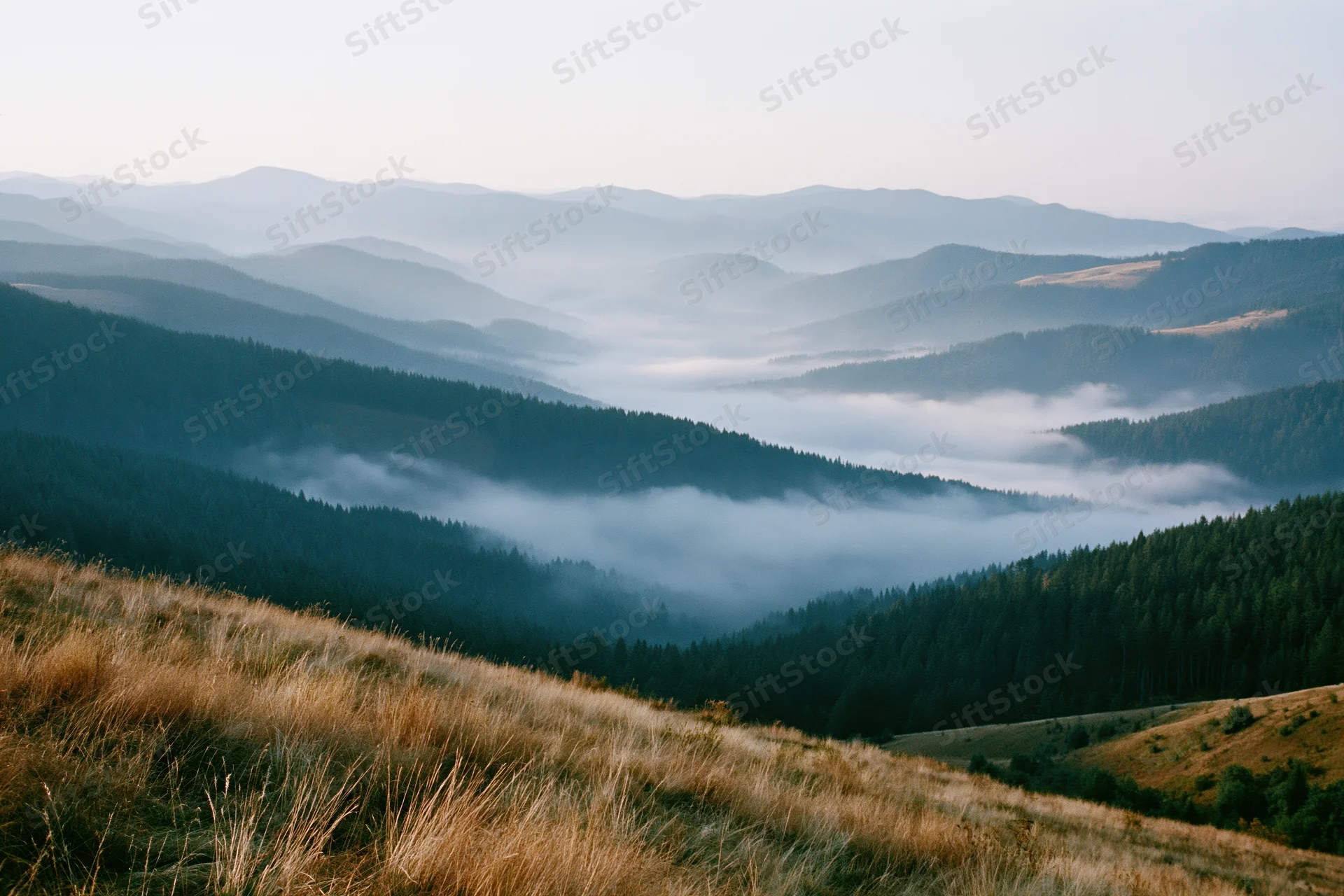 Rolling forested mountains with morning fog settling in the valley
