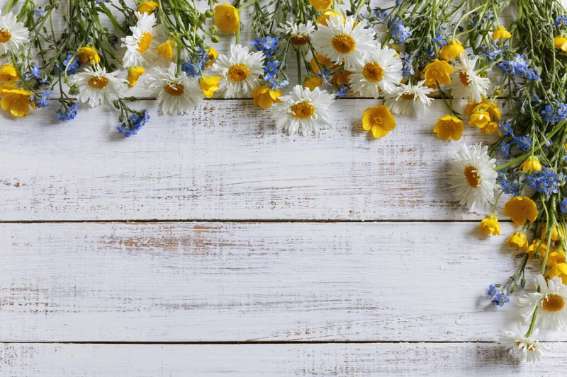 Wildflowers arranged along the top of a weathered white wooden surface, leaving copyspace below