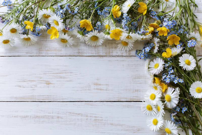 Wildflowers arranged along the top and right edge of a white wooden surface, leaving copyspace below