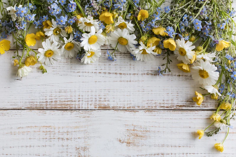 Scattered wildflowers including daisies and buttercups arranged on a white weathered wooden table with copyspace below