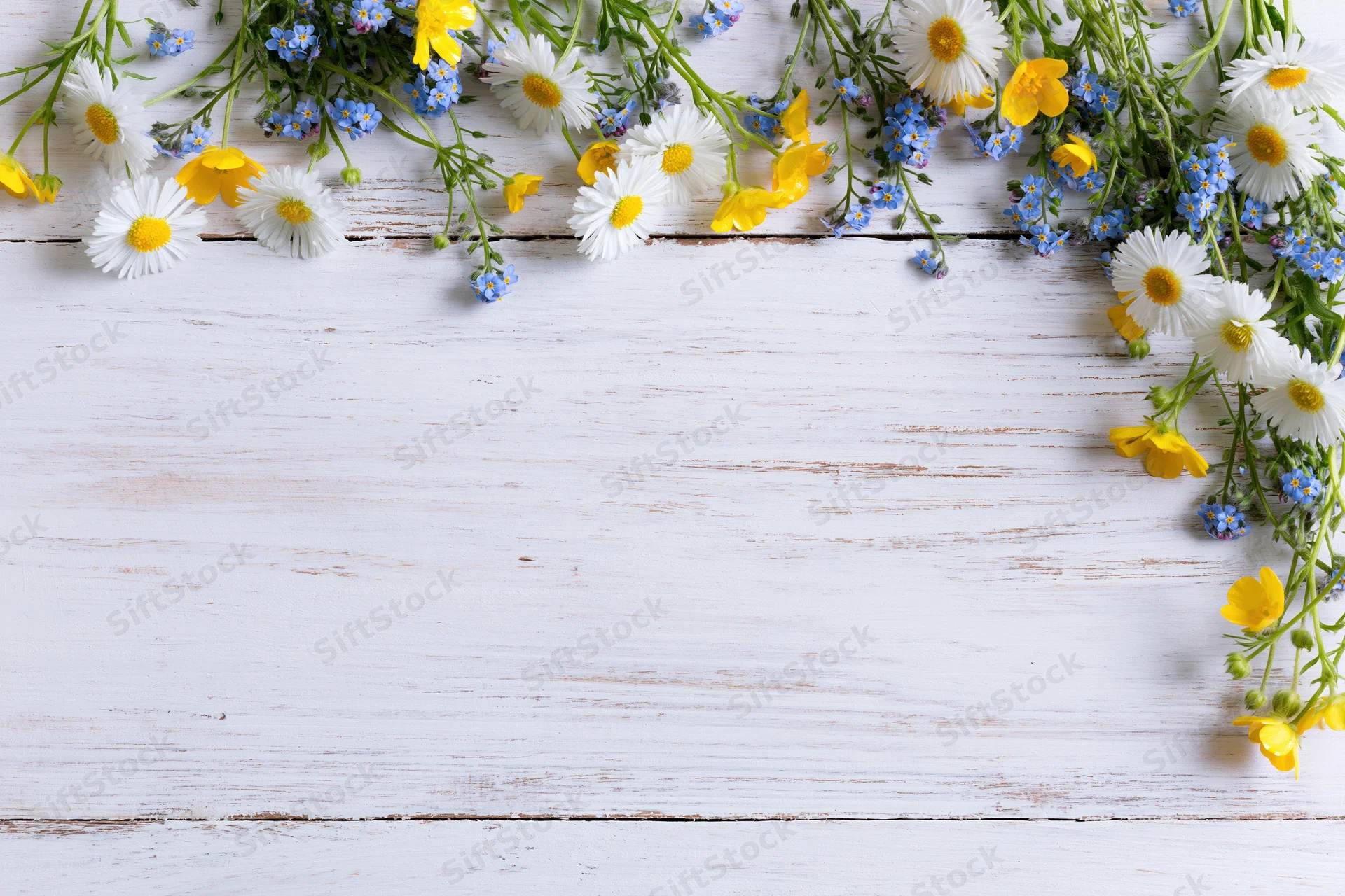 Wildflowers arranged along the top edge of a white wooden table, leaving copyspace below