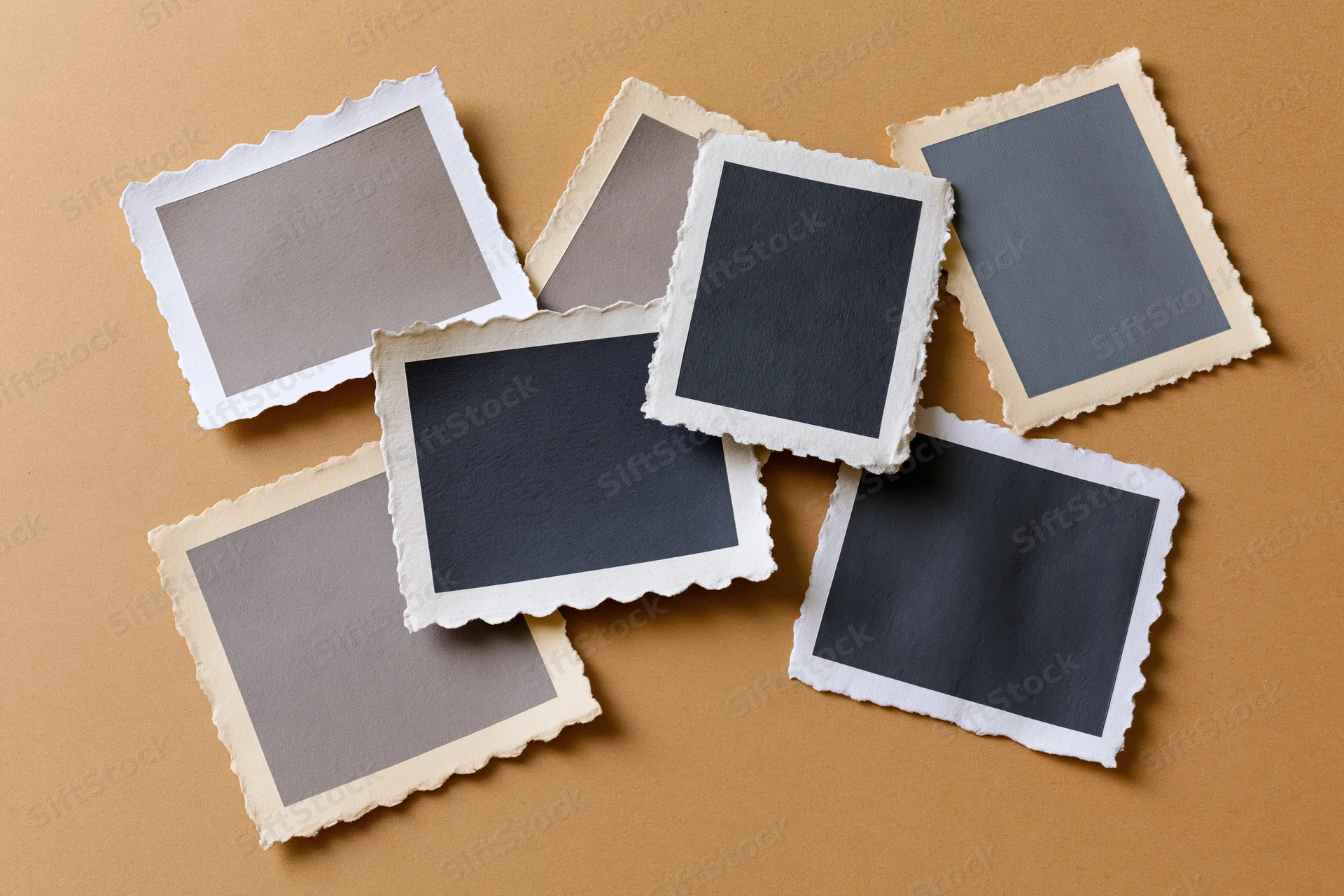 Seven blank vintage photo prints with deckle edges arranged on a brown surface