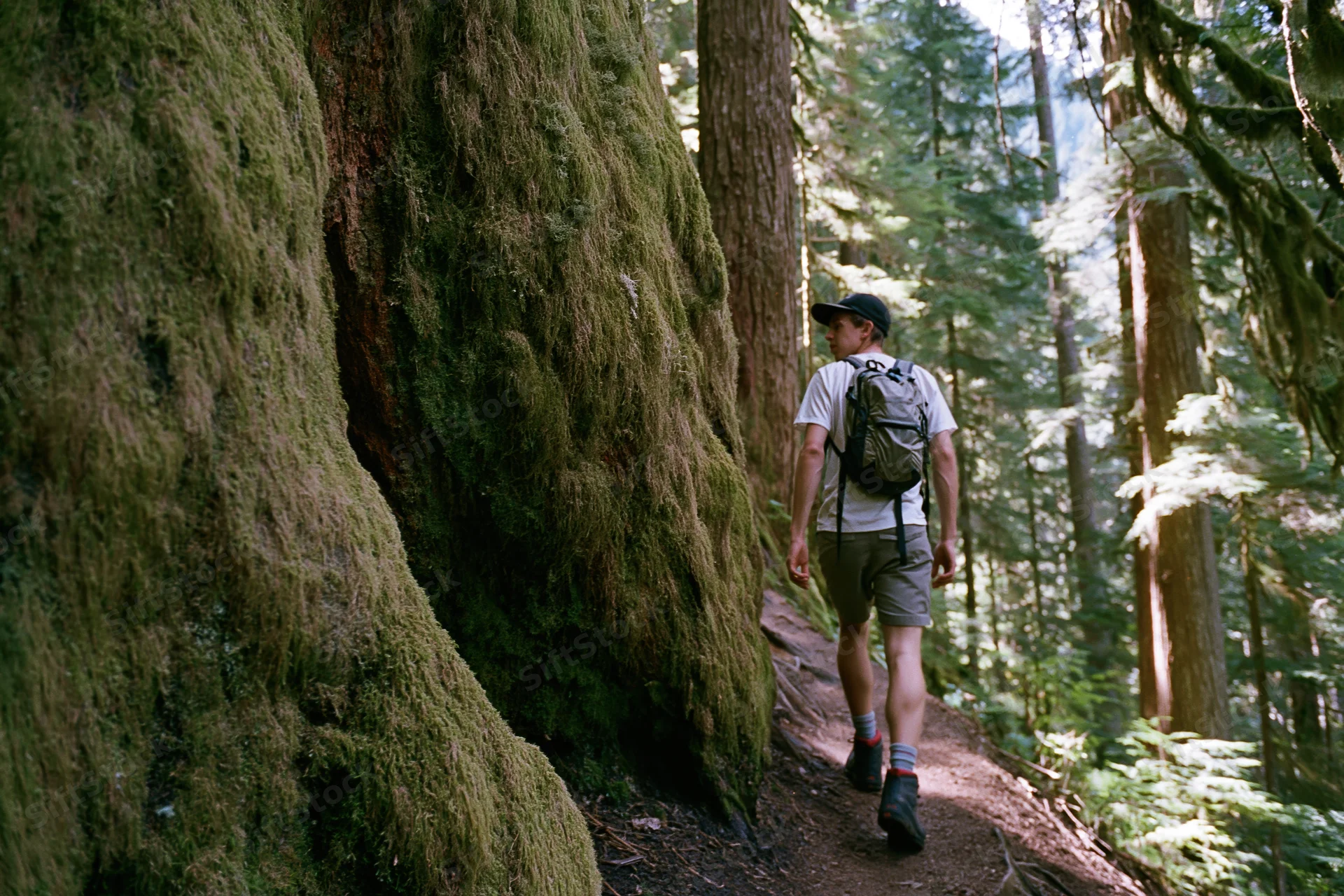 Man with backpack walking along narrow dirt trail in moss-covered forest