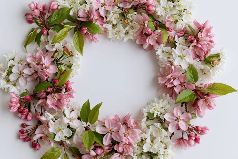 Spring blossoms and green leaves arranged in a circular frame on white background